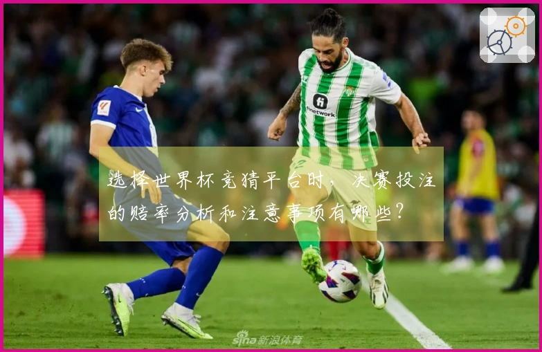 选择世界杯竞猜平台时，决赛投注的赔率分析和注意事项有哪些？