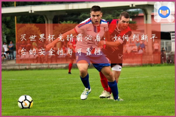 买世界杯竞猜前必看，如何判断平台的安全性与可靠性