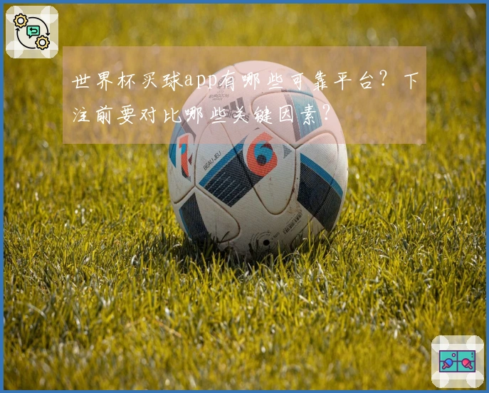 世界杯买球app有哪些可靠平台？下注前要对比哪些关键因素？